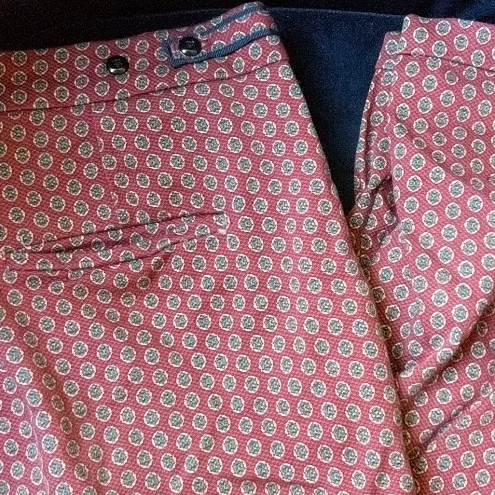 Zara Red & Navy Patterned Pants - Picture 2 of 3